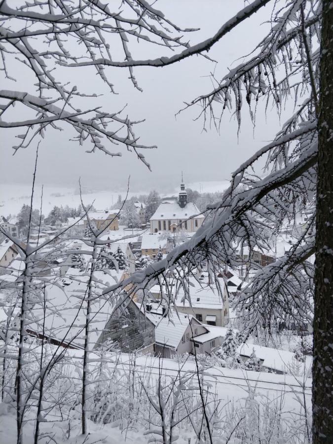 Ferienwohnung Bimmelbahn-Blick Neudorf (Saxony) Exterior foto